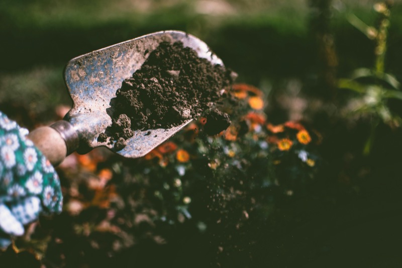 Pittsburgh Expands Community Garden Initiative to Promote Local Food Access