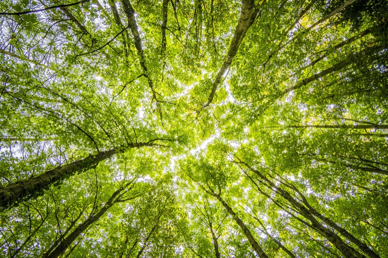 Pittsburgh Expands Environmental Education Program in Local Parks