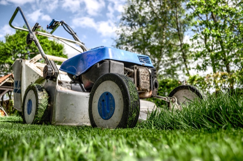 Pittsburgh Reopens City Cuts Lawncare Help for Eligible Residents