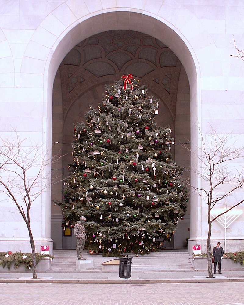 Pittsburgh Seeks 40-Foot Evergreen for 2026 City Hall Christmas Tree