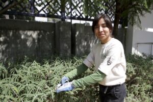 Young volunteer tending a community food garden