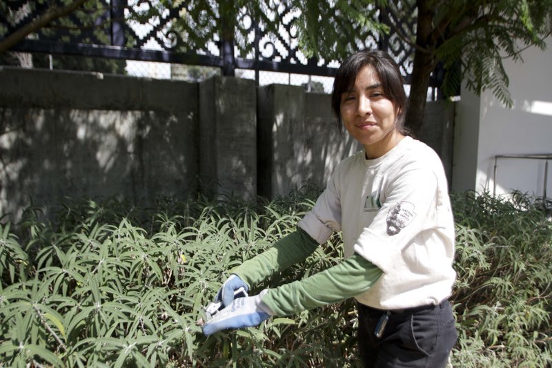 Young volunteer tending a community food garden