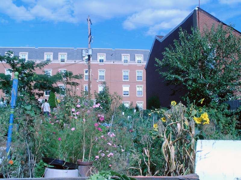 Pittsburgh Revives Love Your Block Grants for 17 Neighborhood Projects