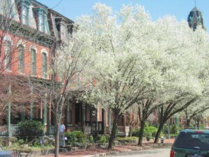 Representative street scene in Pittsburgh's Manchester neighborhood